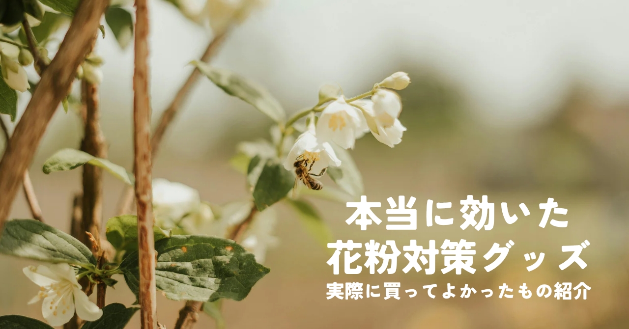 【2026年最新版】本当に効いた花粉対策グッズ5選｜重度花粉症の私が手放せないアイテム